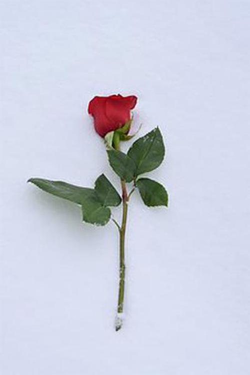 欢心彩票苹果版苹果ios版彩票app