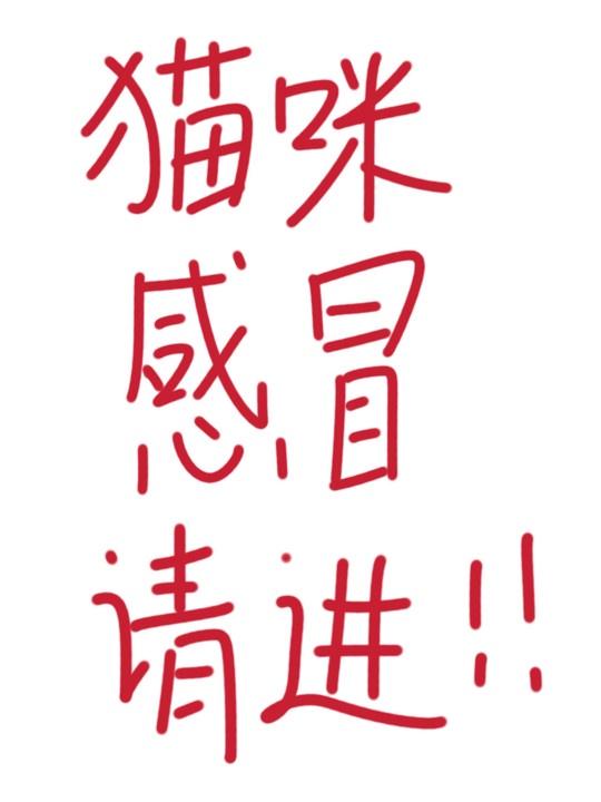 小猫感冒安卓版幼猫感冒了怎么办