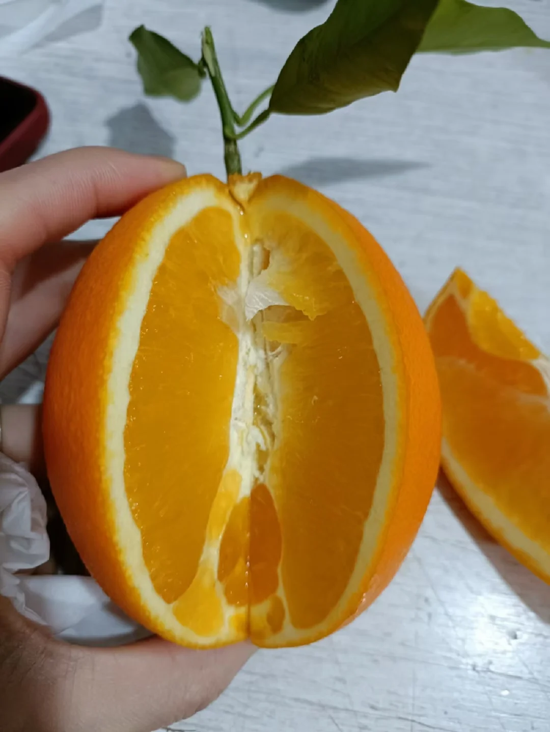 橙子视频苹果手机版苹果视频app怎么用