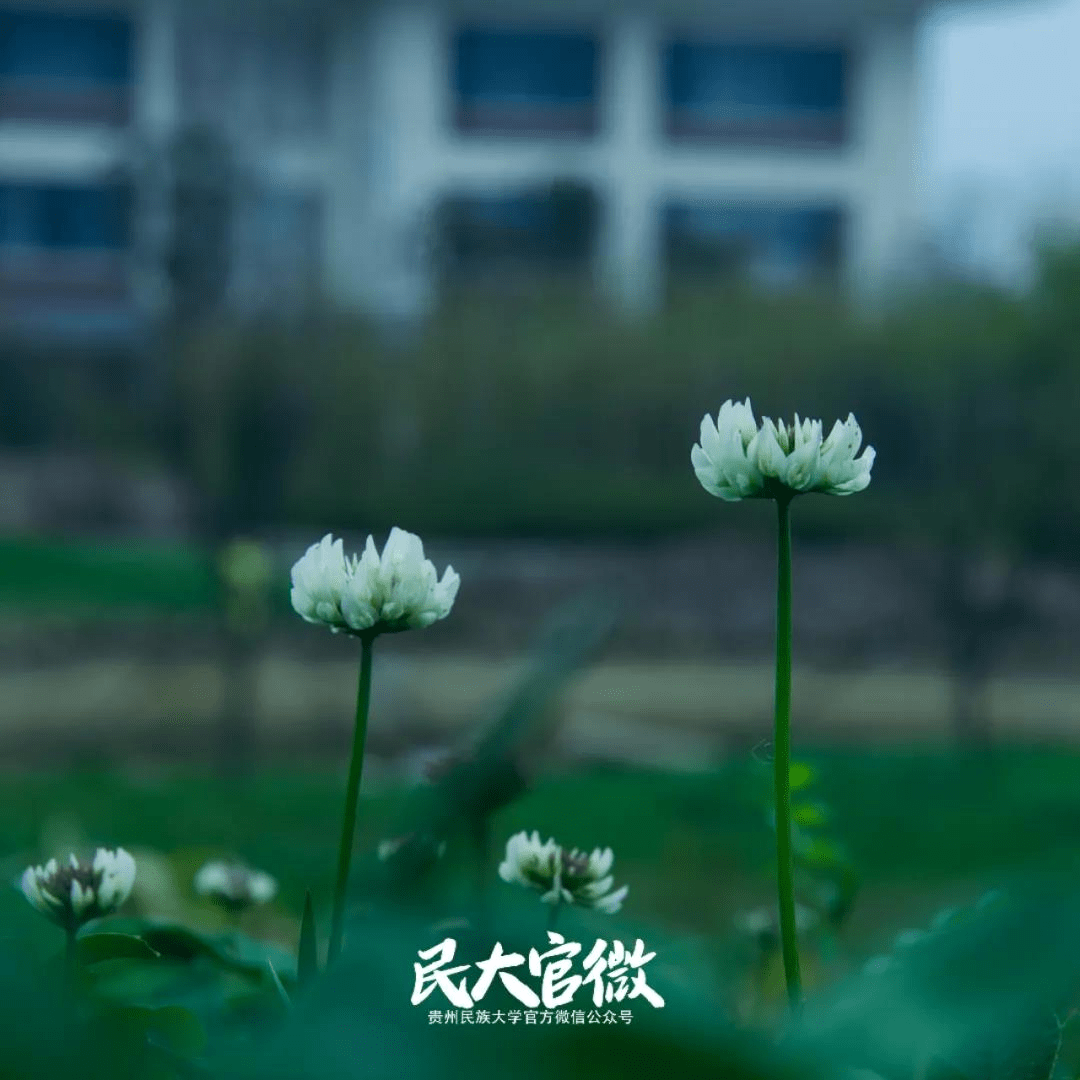 子贵校园客户端子贵校园客户端下载-第2张图片-太平洋在线下载